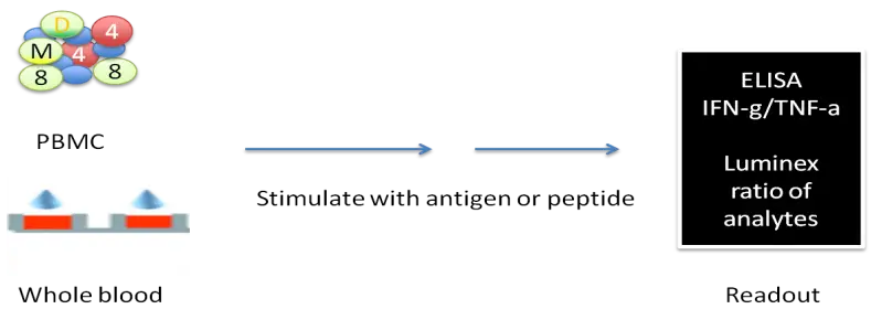 Navigating Negative Emotions at Work: Insights and Strategies